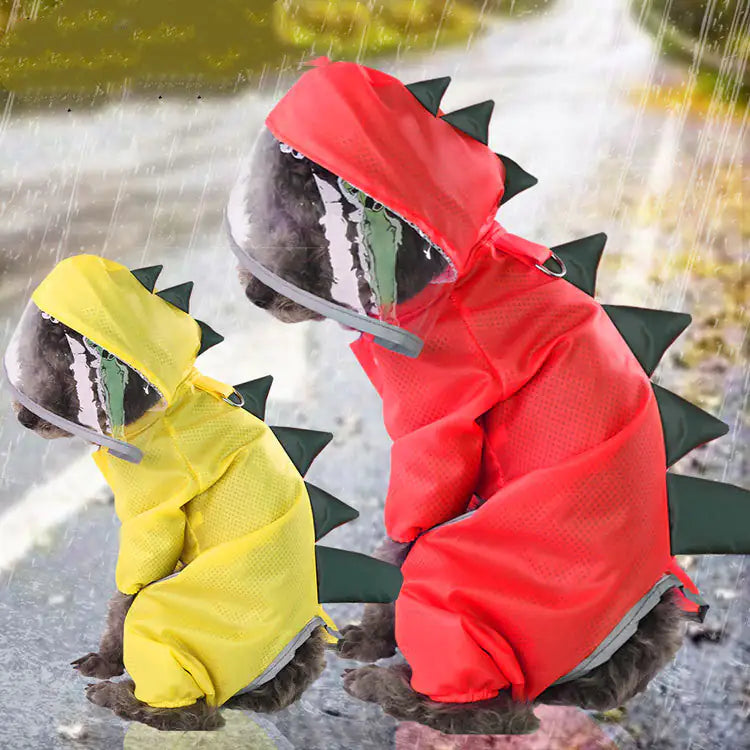 Dinosaur Raincoat