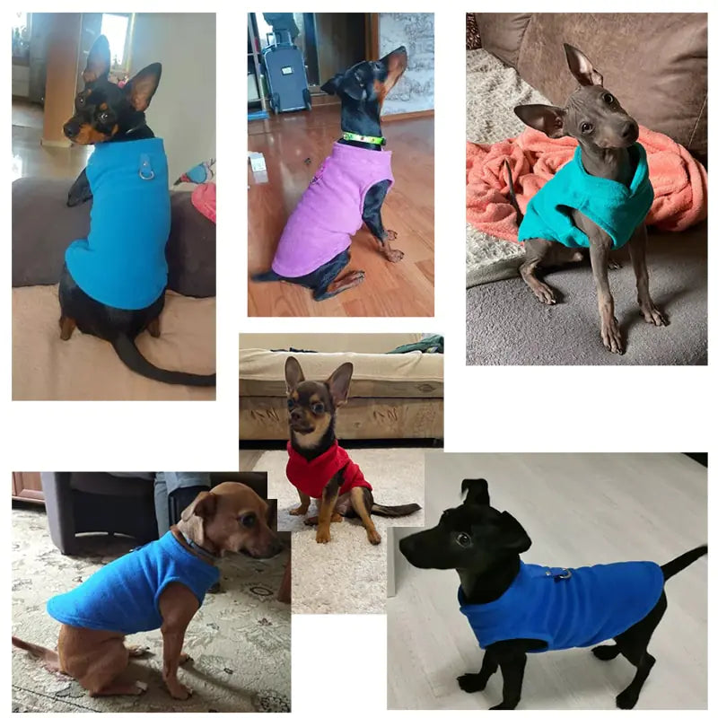 Fleece Pet Dog Clothing