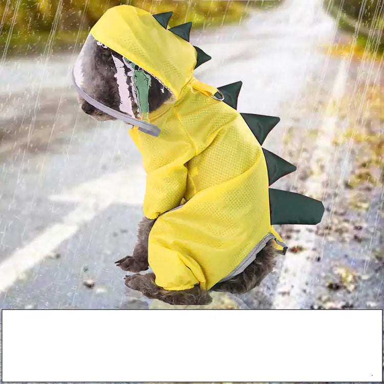 Dinosaur Raincoat