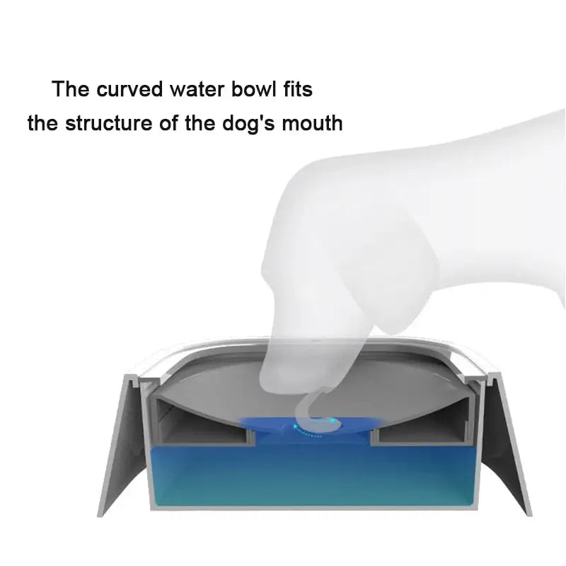 -Spill Pet Water Bowl